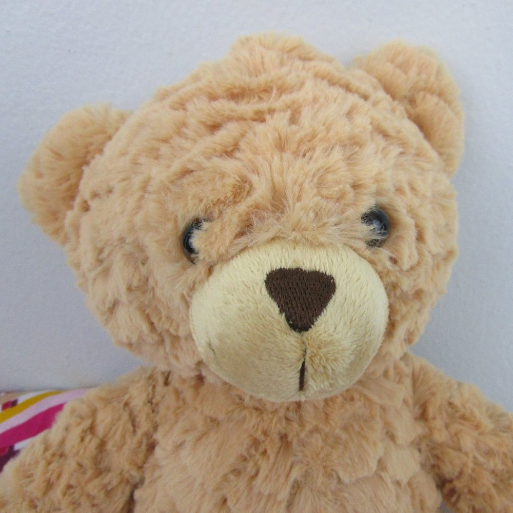 🐻Host Pick🐻 Cloud Island 15" Plush Teddy Bear - Picture 3 of 9